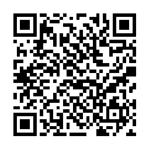 银白色的职业套装难以遮掩那丰腴起伏的娇躯曲线二维码生成