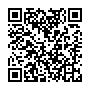 银脚小猫这样的自尊灵兽明显是不怕血云石的凶残二维码生成