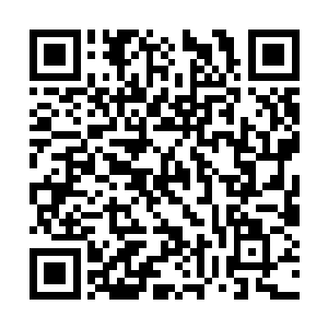 银色的月光静静的洒落在我们面前的一片湖水之中二维码生成