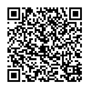 银色飞船上众人妖强者看见华夏九后的各种难以置信和不可思议神色二维码生成