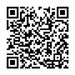 银衣银发的俊美男子刚落下就接住了扑上来的少女二维码生成