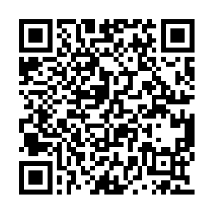 银针一根根随着洛天星生命体征的变化而变化着二维码生成