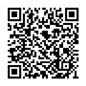 铺天盖地的血光光华从每一位杨家大能身上涌出二维码生成