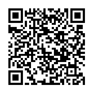 铺满石板的道路两侧的橱窗里是各种有枪械的电影海报二维码生成