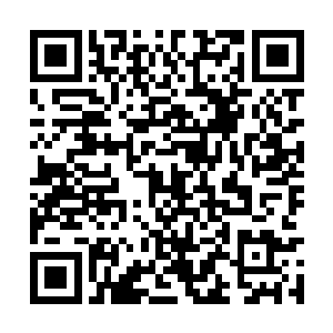 铺路工们已经把路铺到了原际部落所在的那片平原二维码生成