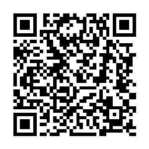 锁骨一阵清凉意识到是他在为她上药之后也没有反驳二维码生成