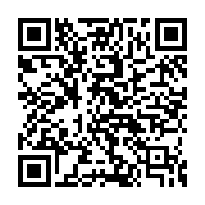 锋利度和保持性还有强度之类的性能都是杠杠的二维码生成