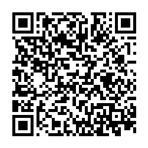 锋利的连天空都可撕出大洞的兽爪擦在闪烁着淡金色光泽的皮肤上二维码生成