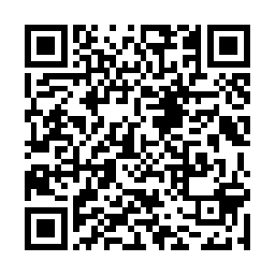 锋锐逼人的直指那已然冲入了血海中的两只饕餮~二维码生成