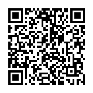 锐利的目光带着丝丝怒火扫过考核场所边缘的太古剑者们二维码生成
