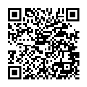 错落交杂的剑花……再配上鼓着的白生生香腮……二维码生成