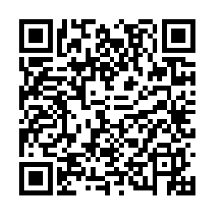 错过奥斯卡颁奖典礼而选择一个不确定未来的新作二维码生成