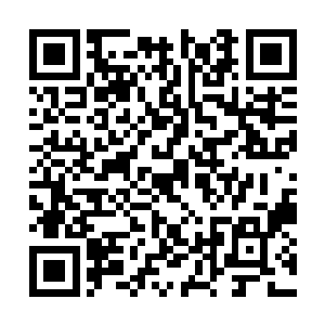 锦乡伯韩老爷便带着最心疼的小孙子上街看画糖人二维码生成