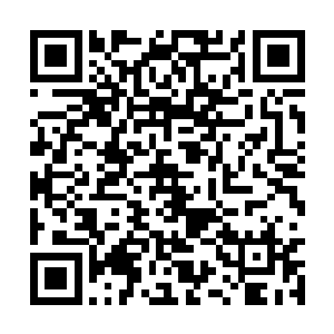 锦尘为什么会愿意帮这样一名名不见经传的小丫头二维码生成