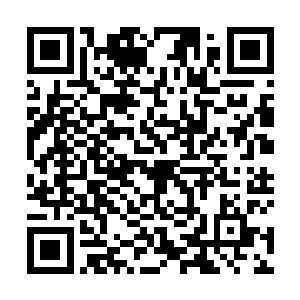 锦尘便与他们说起过九灵的身形体态与精灵族完全一致二维码生成