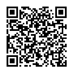 锯齿大刀在这一瞬间竟像是砍在了一道看不见的大网上二维码生成