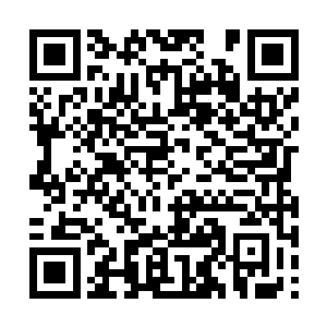 锻道友……那啥……不好意思……我……那啥……二维码生成