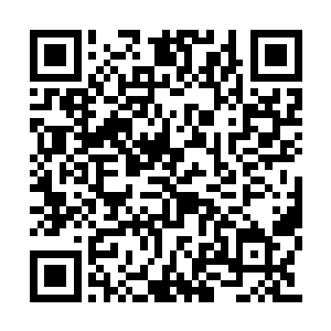 镇南王也不得不接受了清尘公子提前动手的提议二维码生成