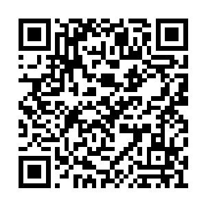 镇南王悠闲的欣赏着眼前的绝色美人娇嗔的神色二维码生成