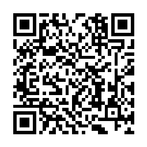 镇国公府嫡女叶芷蔚命中带煞……克死了叶公爷呢二维码生成