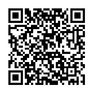 镌刻在这个女人身上的每一个细胞和灵魂之中的本能二维码生成