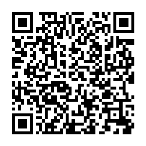 镜像分身出现的身体和外貌特征则以本尊当前的身体和外貌特征为准二维码生成