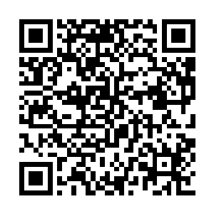 镜头刚刚看见桑尼和哈罗德守候般站在屋前那边二维码生成