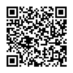 镜子里倒影出来的人又重新换上了之前的淡青色的衣袍二维码生成