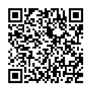 镜子里映出一位金发娇艳的美国妞儿――饰演前台小姐兼老板炮二维码生成