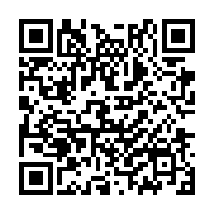 镯子和扳指对她来说的确只是两样价值连城的首饰二维码生成