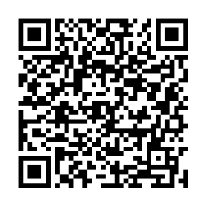 镰刀血光便是悍然往前方三米多远的老头飚射而出二维码生成