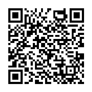 长久以来显露在脸上的笑容这一次却是消失不见了二维码生成