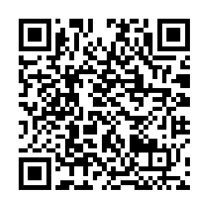 长久在水下的生活更让他们的身体几乎无视海水的阻力二维码生成