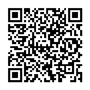 长乐公主确实比当初在瑶华宫外见到的长大了不少二维码生成