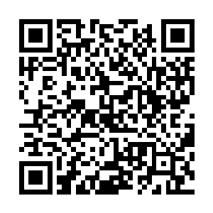 长公主五十大寿时夫妻两人共同栽下的枇杷树已经亭亭如盖二维码生成