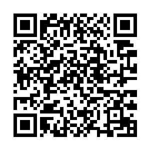 长公主怎么可能眼睁睁得看着陆天养继承齐王的一切二维码生成