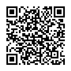 长剑挽起一朵朵剑花刷刷两声对着扑面而来的黑影一剑斩下二维码生成