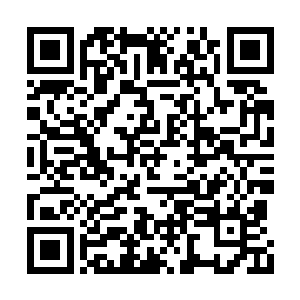 长剑斩中堡主铁青色的肉掌就如同击在铁块之上二维码生成