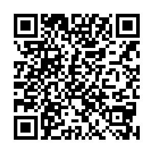 长大后也会飞向属于自己的天空……只有相亲相爱的夫妻二维码生成