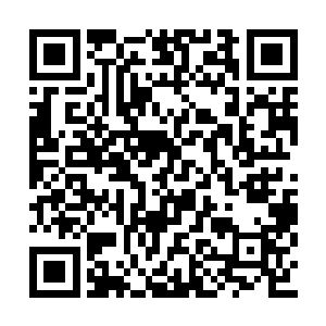 长宁风和周大凯两兄弟四名拥有大圣者实力的人二维码生成