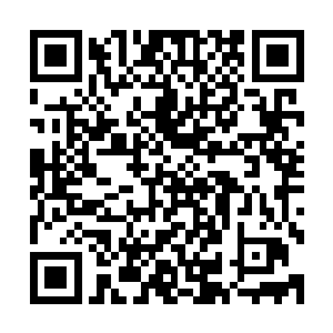 长期参加角斗士广场押注的人基本上都知道铁甲虎头鳄的厉害二维码生成