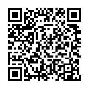 长期处于俄罗斯内务部有组织犯罪科的监视名单二维码生成