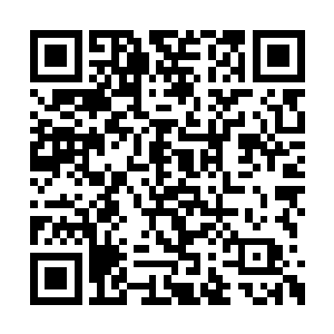 长枪短炮一般的各种摄影摄像器材齐齐对着前方二维码生成