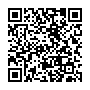 长毛炼道大阵乃是当初长毛老祖毕生心血凝造而成二维码生成