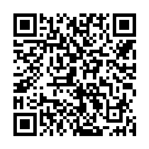 长毛等人不顾观众们的意见强行将mvp给了资格更老的皮野绫二维码生成