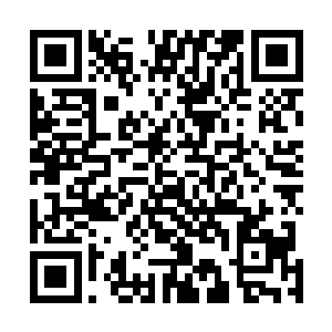 长生手里的鸡蛋只是一个转播的景象却还能刺痛我的眼睛二维码生成