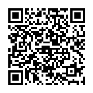 长生殿主殿此刻已经几乎全部被橙橙的红发所覆盖二维码生成