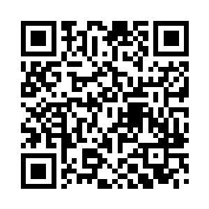 长相极为漂亮的太子南宫璟月在前面引路二维码生成