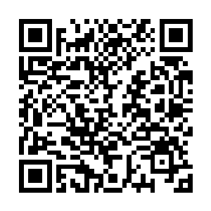 长着五六厘米长像是毒蛇的毒牙一样的半透明向内倒钩的牙二维码生成