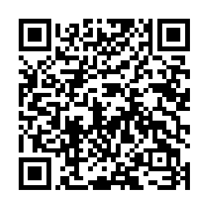 长着巨大翅膀和硕大狰狞头颅的太古凶兽从天空中掠过二维码生成